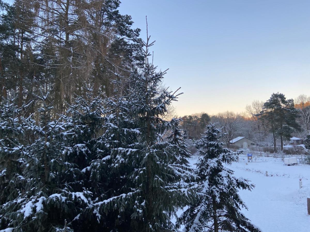 Waldwerk Wurlgrund Lychen Aparthotel Екстериор снимка