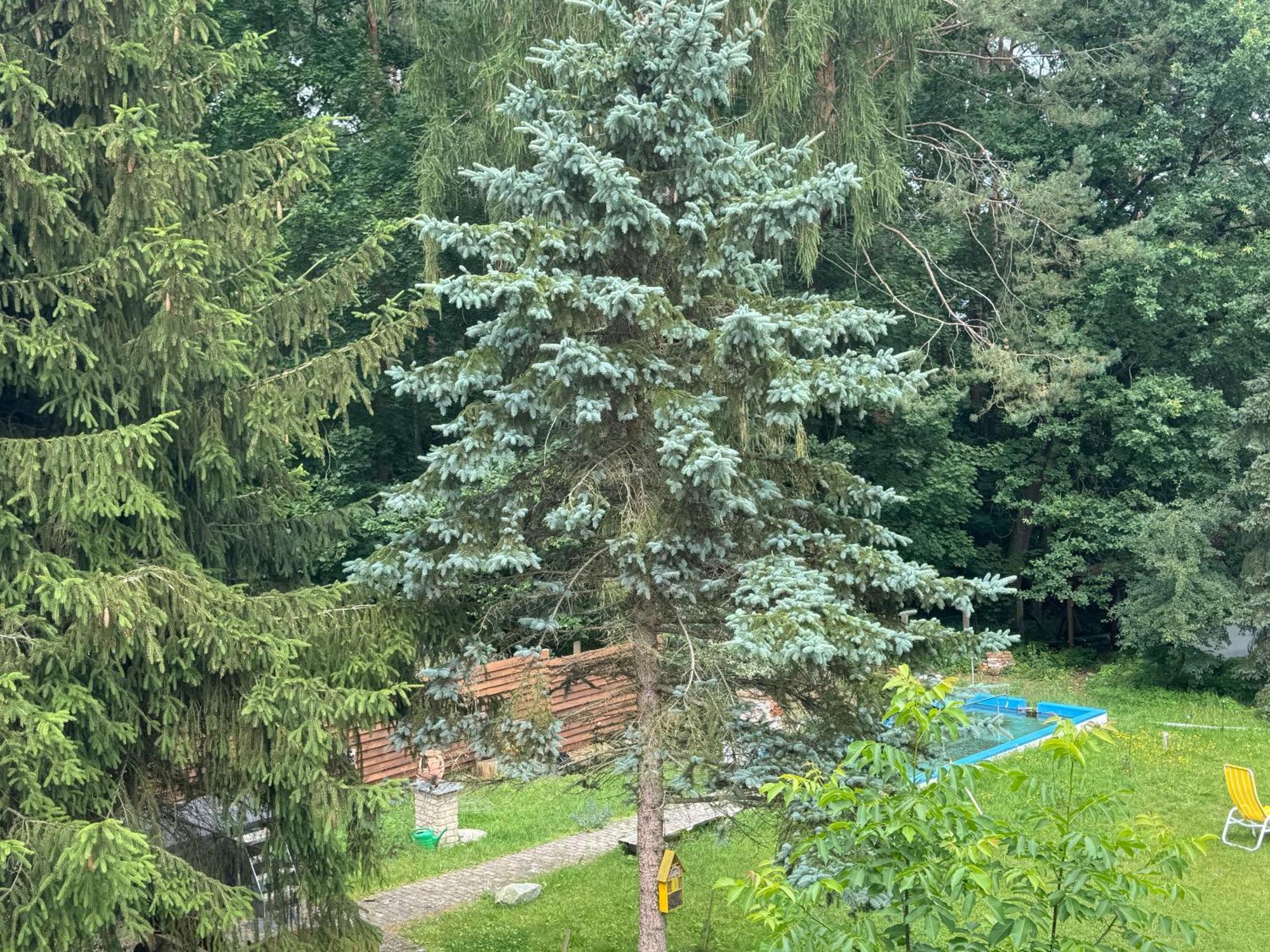 Waldwerk Wurlgrund Lychen Aparthotel Екстериор снимка